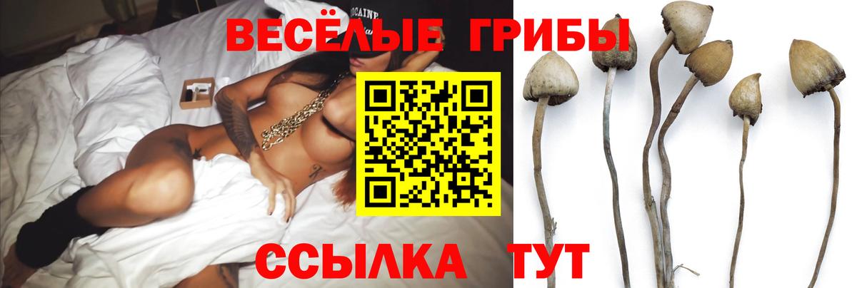 Псилоцибиновые грибы Magic Shrooms  Вход с VPN  Ессентуки  Псилоцибиновые грибы мицелий 