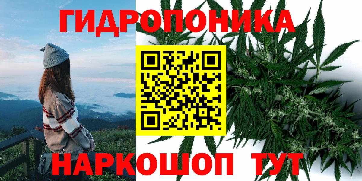 Канабис конопля  Шишки марихуана гибрид  Канабис планчик  Ессентуки  Вход с VPN 